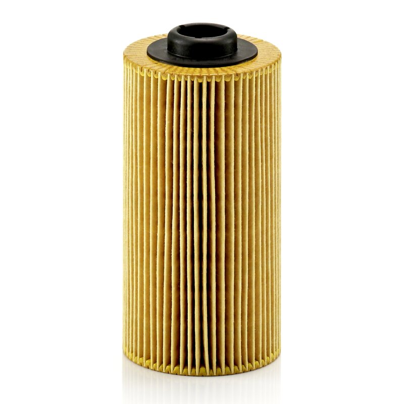 Фильтр масляный MANN-FILTER, арт. HU938/4X
Фильтр масляный MANN-FILTER, арт. HU938/4X