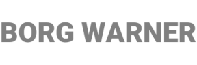 Бренд: Borg Warner