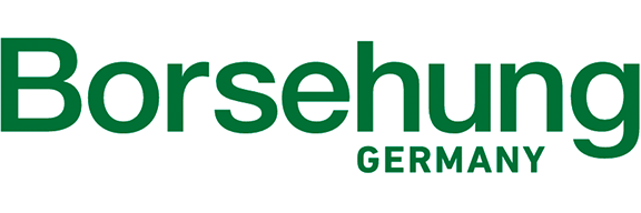 Borsehung