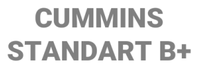 Бренд: Cummins STANDART B+