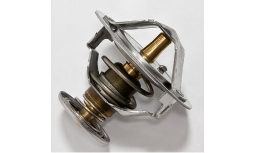 Термостат Tama, арт. WV54-82B