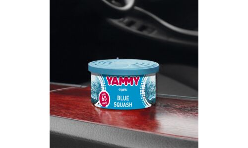 Ароматизатор на торпедо Yammy Blue Squash (Свежесть), с растительным наполнителем, баночка 42г, арт. D017