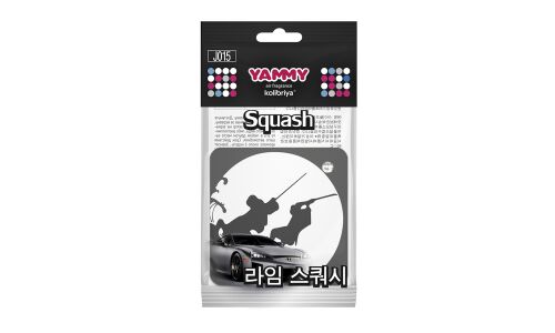 Ароматизатор подвесной Yammy «Квадрат» Squash (Свежесть), картон с пропиткой, арт. J015