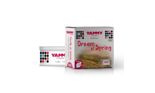 Ароматизатор на торпедо Yammy Dream of Spring (Цветочный), меловой, баночка, арт. S025