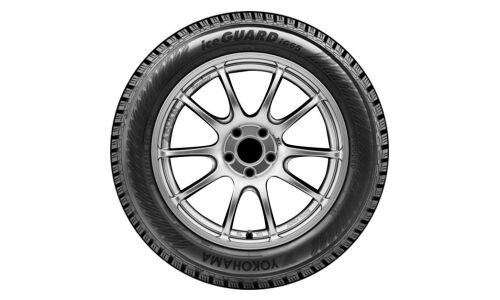 Шина зимняя Yokohama iceGUARD iG65 шипованная, R17 215/60, 100T
