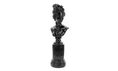 Краска аэрозольная Rinkai Acrylic Spray Paint, акриловая, многоцелевая, чёрная глянцевая, цветовой код RAL 9005, 520мл, арт. RC1109