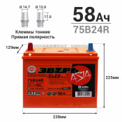 Аккумулятор Зверь ASIA 75B24R (6СТ-58LУ / ZVA 58-3-L), 58Ач, ССА 520А, необслуживаемый Аккумулятор Зверь ASIA 75B24R (6СТ-58LУ / ZVA 58-3-L), 58Ач, ССА 520А, необслуживаемый