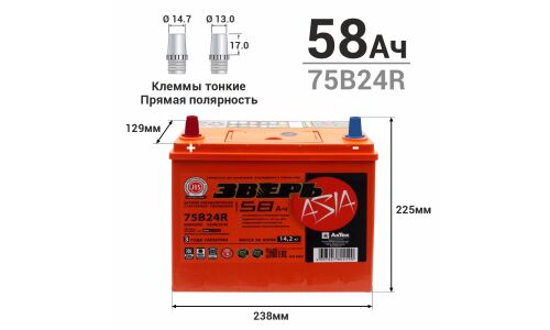 Аккумулятор Зверь ASIA 75B24R (6СТ-58LУ / ZVA 58-3-L), 58Ач, ССА 520А, необслуживаемый