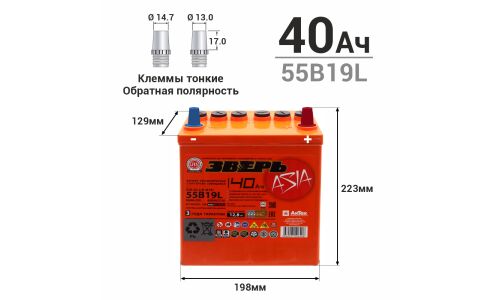 Аккумулятор Зверь ASIA 55B19L (6СТ-40LУ(R) / ZVA 40-3-R), 40Ач, ССА 450А, необслуживаемый