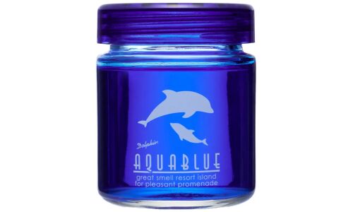 Ароматизатор на торпедо DIAX King Size Aquablue Light Squash (Свежесть), гелевый, баночка 115мл, арт. DIAX-B-36