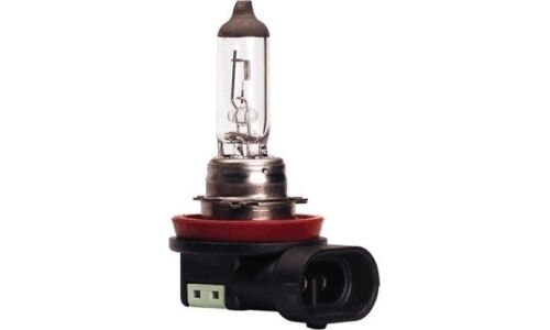 Лампа галогенная Bosch Pure Light H11 (PGJ19-2, T11), 12В, 55Вт, 3200K, 1 шт