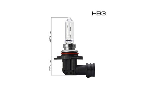 Лампа галогенная Masuma Clearglow HB3(9005) (P20d, T12), 12В, 65Вт, 3200К, 1 шт, арт. L250