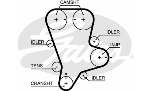 Ремень зубчатый Gates, арт. 5644XS