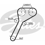 Ремень ГРМ Gates, арт. 5651XS