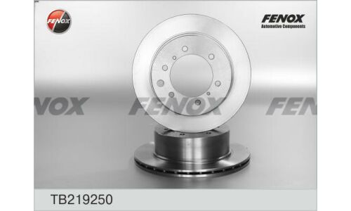 Диск тормозной Fenox, задний, арт. TB219250