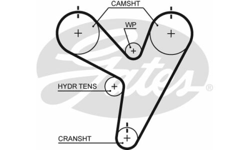 Ремень ГРМ Gates, арт. 5674XS