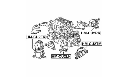 Подушка коробки скоростей (гидравлическая) | прав/лев Febest, арт. HM-CU2TM