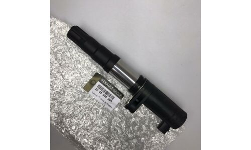 Катушка зажигания Renault, арт. 224333529R