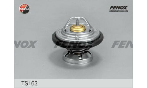 Термостат (+80°C) Fenox, арт. TS163