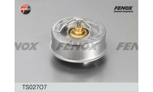 Термостат Fenox, +70°C, арт. TS027O7