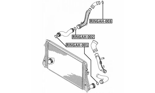 Кольцо уплотнительное воздушного патрубка | прав/лев Febest, арт. RINGAH-002