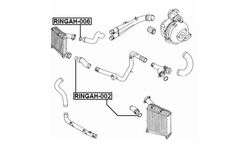 Кольцо уплотнительное воздушного патрубка | прав/лев Febest, арт. RINGAH-006