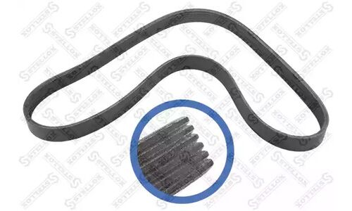 Ремень поликлиновой 6PK1019EE Stellox, арт. 06-01019-SX