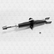 Амортизатор TORR газомасляный двухтрубный, задний, правый/левый, 1 шт, арт. DH1494