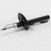 Амортизационная стойка TORR газомасляная двухтрубная, передняя, правая/левая, 1 шт, арт. DV1198