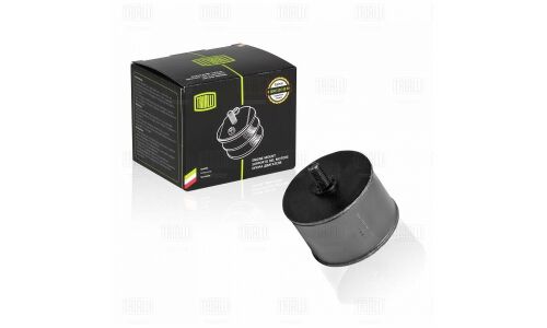 Опора двигателя | перед Trialli, арт. RM 0104