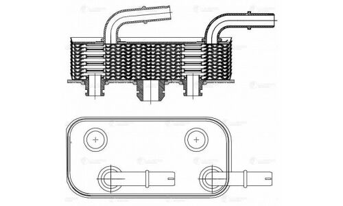 Радиатор масл. для а/м BMW 3 (E46) (98-) 1.6i/1.8i/2.0i/2.5i 1.8D/2.0D Luzar, арт. LOc 2635