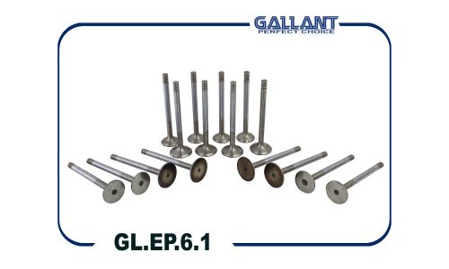 Комплект клапанов двигателя Gallant, 8 впускных + 8 выпускных, арт. GL.EP.6.1