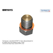 Заглушка лямбда-зонда с медной шайбой | зад TRANSMASTER UNIVERSAL, арт. BM1815