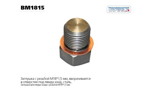 Заглушка лямбда-зонда с медной шайбой | зад TRANSMASTER, арт. BM1815