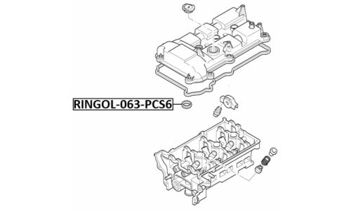 Кольцо уплотнительное свечного колодца (6 шт. в упаковке) Febest, арт. RINGOL-063-PCS6
