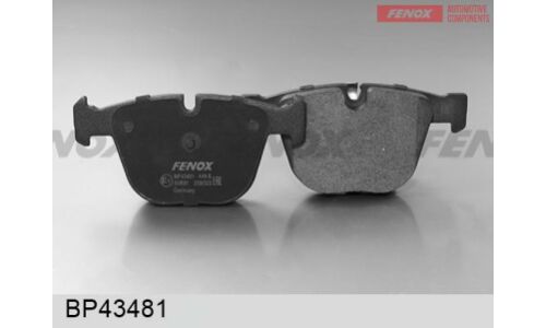 Колодки тормозные дисковые Fenox, задние, комплект на ось (4 шт), арт. BP43481