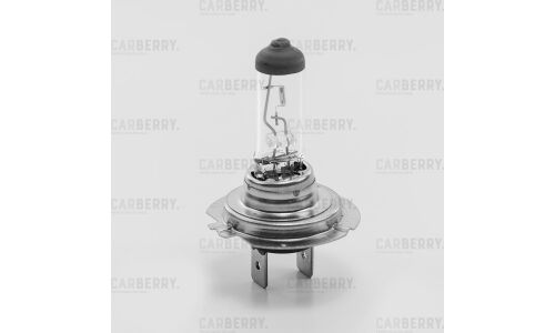Лампа галогенная Carberry Day&Night H7 (PX26d, T11), 12В, 55Вт, 3200К, 1 шт, арт. 31CA13