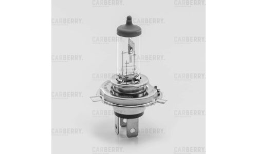 Лампа галогенная Carberry Day&Night H4 (P43t, T16), 12В, 60/55Вт, 1 шт, арт. 31CA7