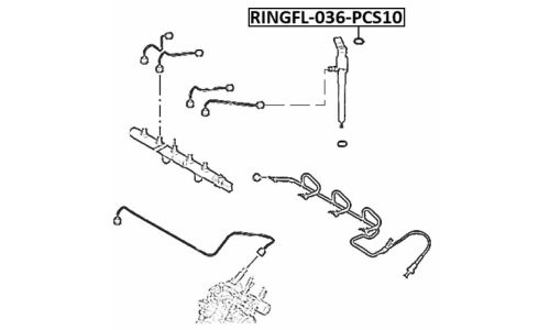 Кольцо уплотнительное топливной форсунки Febest, 10 шт, арт. RINGFL-036-PCS10