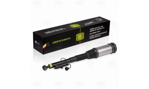 Амортизатор | прав/лев Trialli, арт. AG 15953