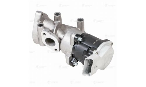 Клапан EGR (рециркуляции выхл. газов) Luzar, арт. LVEG 1009