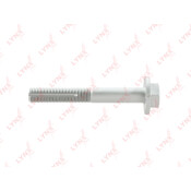 Болт регулировочный (эксцентрик) LYNXauto FS-1069, для Nissan (OEM 55226-4N011)