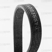 Ремень поликлиновой Carberry, арт. 7DPK2074