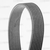 Ремень поликлиновой Carberry, арт. 8PK2410