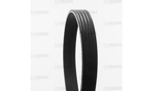 Ремень поликлиновой Carberry, арт. 5PK1005