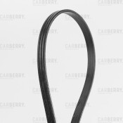 Ремень поликлиновой Carberry, арт. 3PK865