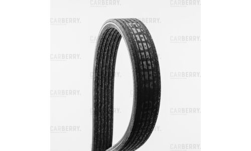 Ремень поликлиновой Carberry, арт. 6DPK1825