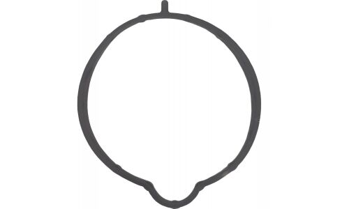 Прокладка корпуса дроссельной заслонки Febest, арт. 05402-002