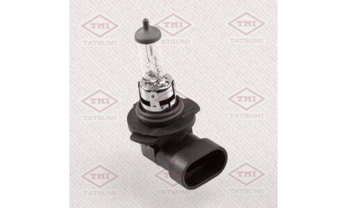 Лампа галогенная Tatsumi Standart H10 (PY20d, T12), 12В, 42Вт, 3200К, 1 шт, арт. TFN1008