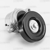 Натяжитель поликлин.ремня с роликом Carberry, арт. 55CA218